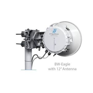 BW-Eagle 48 month Extended Warranty